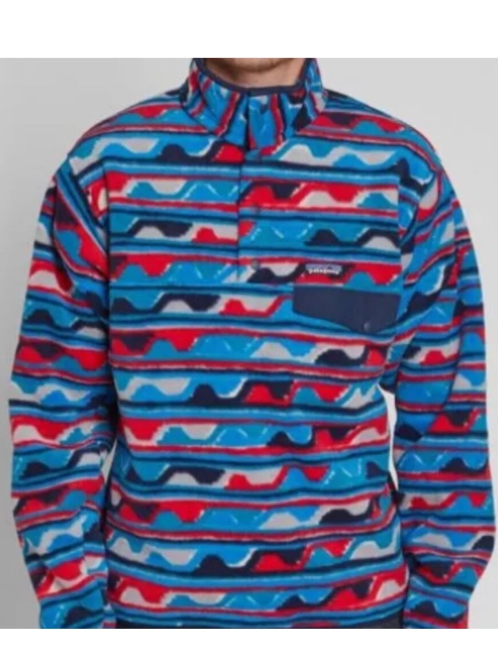 Patagonia Zip-Up Synchilla Fleece in Blue, Red & Navy Pattern
